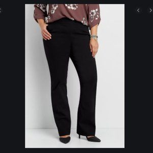 Maurices Bootcut Dress Pants